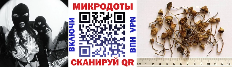Галлюциногенные грибы мицелий мега зеркало Усть-Джегута