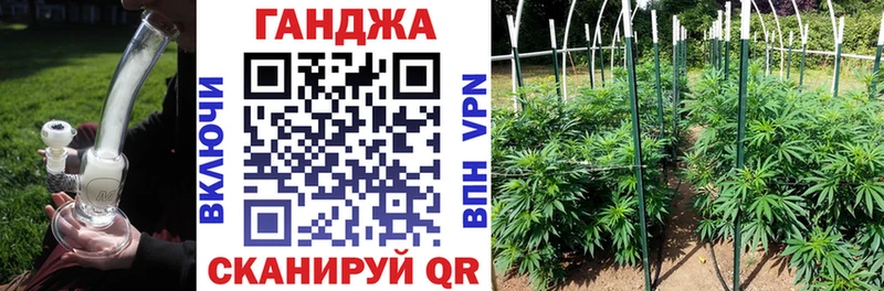 Шишки марихуана Amnesia  купить наркотик  Усть-Джегута 
